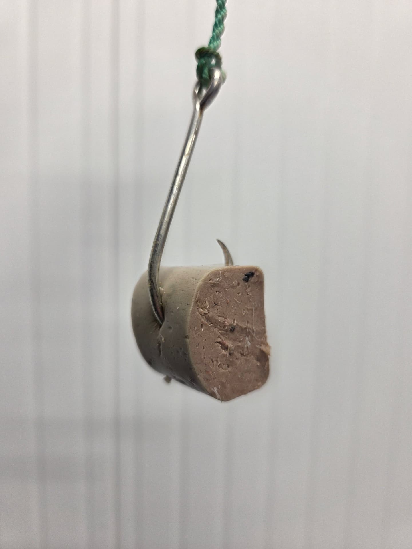 Cut bait piece on a longline hook showing fibrous texture
