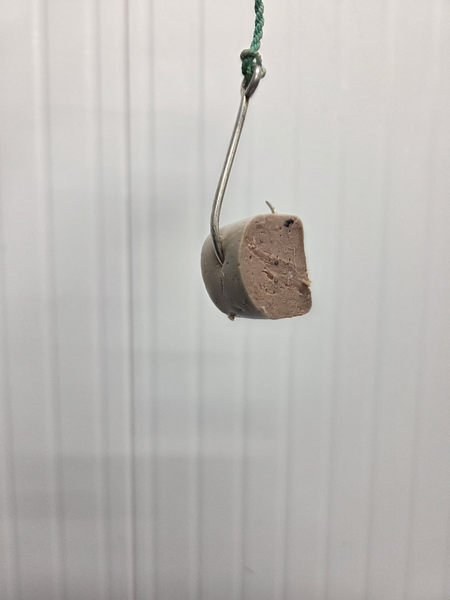 Close-up of bait piece secured on a longline hook