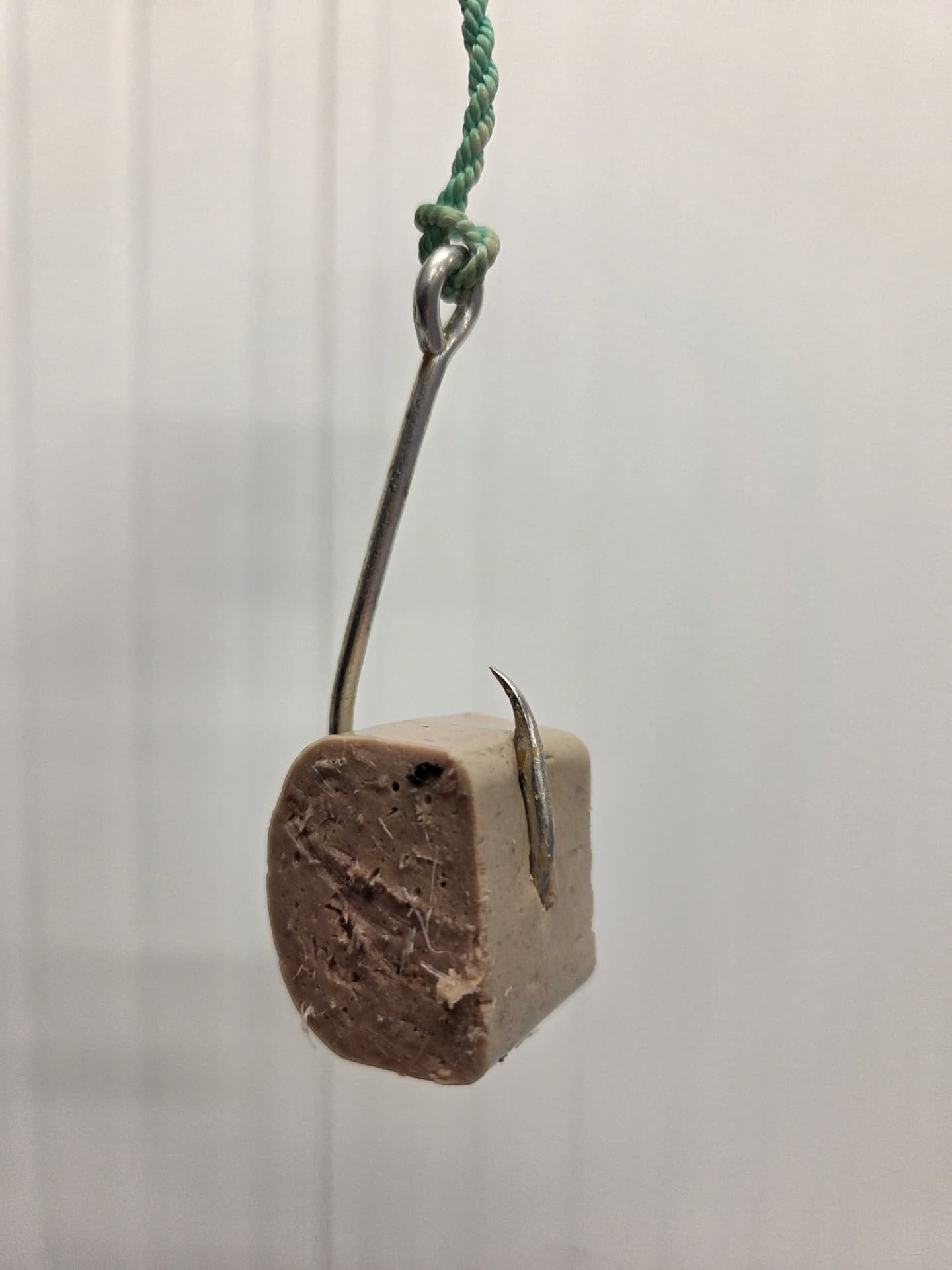 Bait piece held firmly by the barb of a longline hook